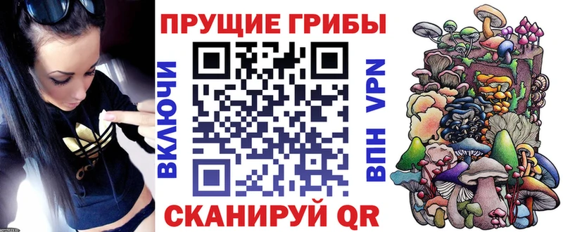 mega ССЫЛКА  Крым  Галлюциногенные грибы Psilocybe  сколько стоит 